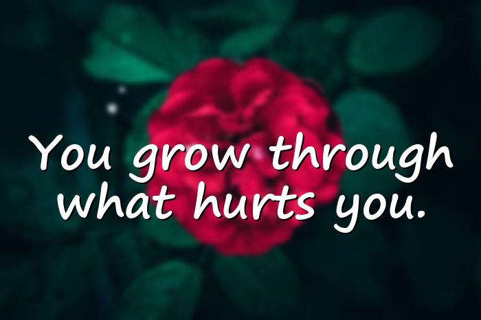 sad quotes about pain - 6