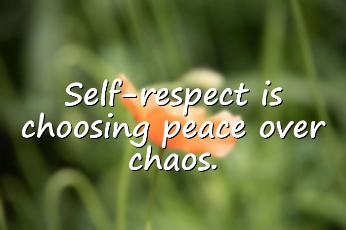 self respect quotes - 11