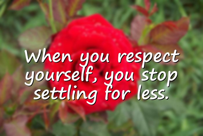 self respect quotes - 1