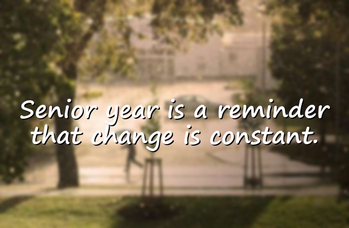 senior quotes - 16