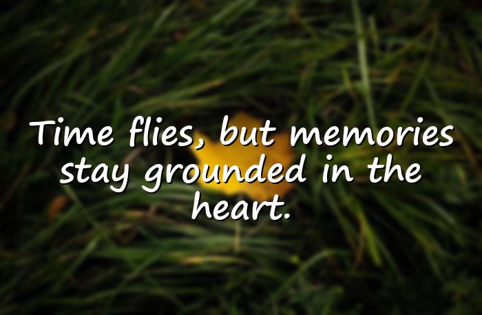 senior quotes - 6