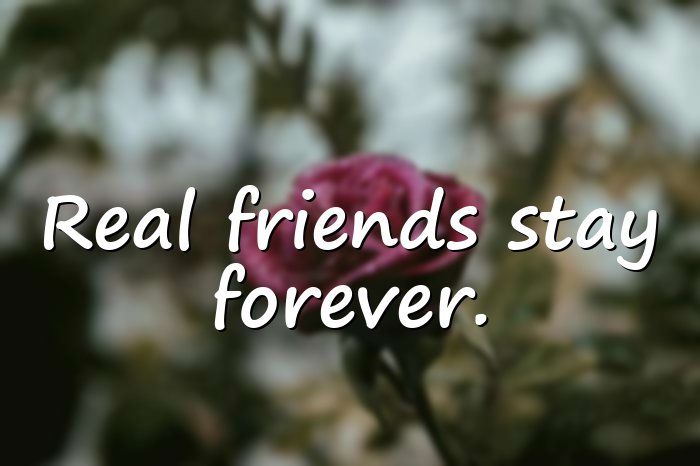 short friendship quotes - 21