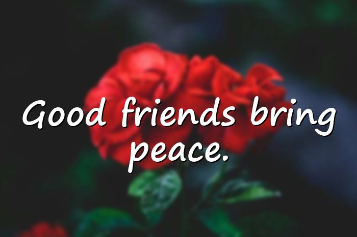 short friendship quotes - 16