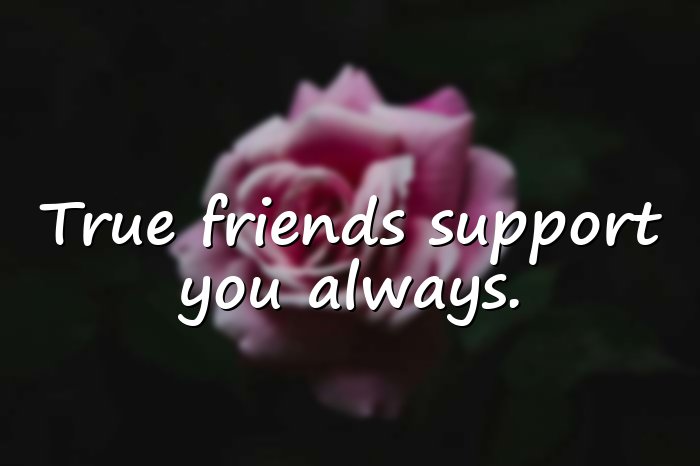 short friendship quotes - 11