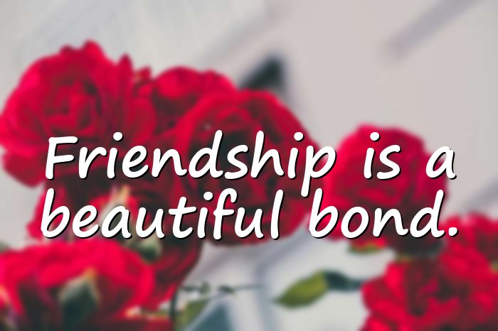 short friendship quotes - 6