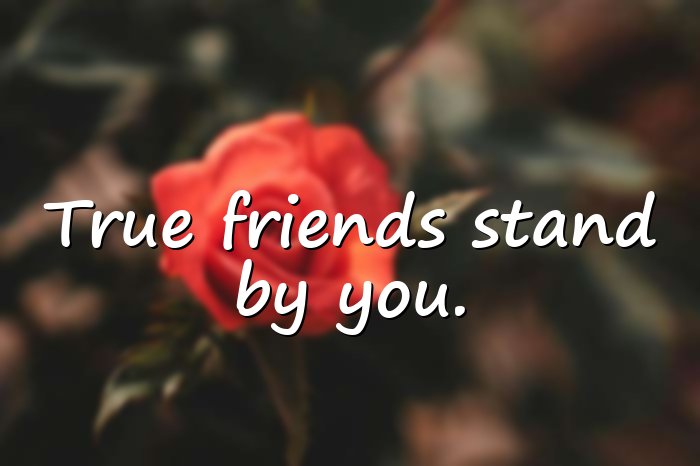 short friendship quotes - 16