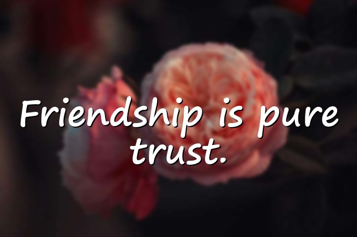short friendship quotes - 11