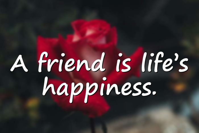 short friendship quotes - 1