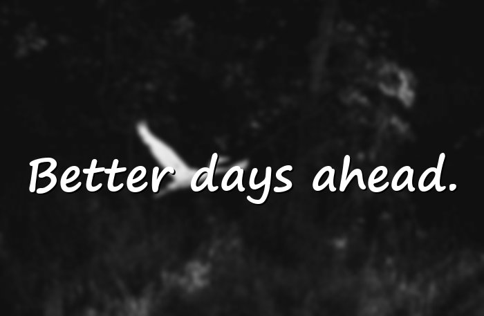 short positive quotes - 16