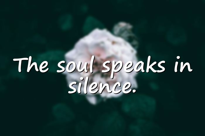 silence quotes - 6