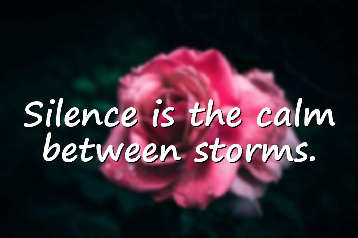 silence quotes - 6