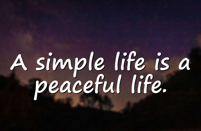 simple life quotes - 21