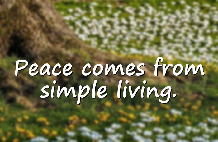 simple life quotes - 11