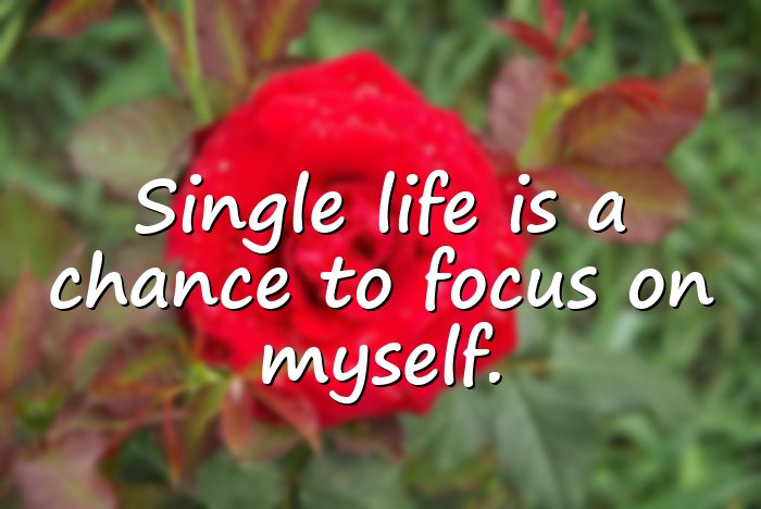 single life quotes - 21