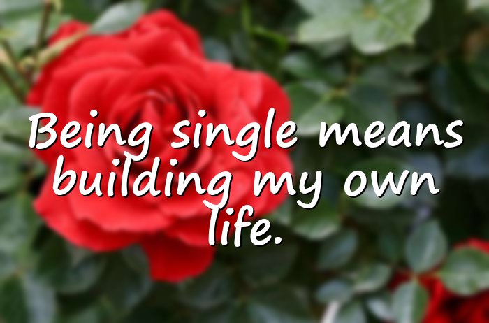 single life quotes - 16
