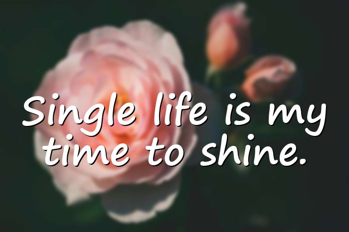 single life quotes - 11