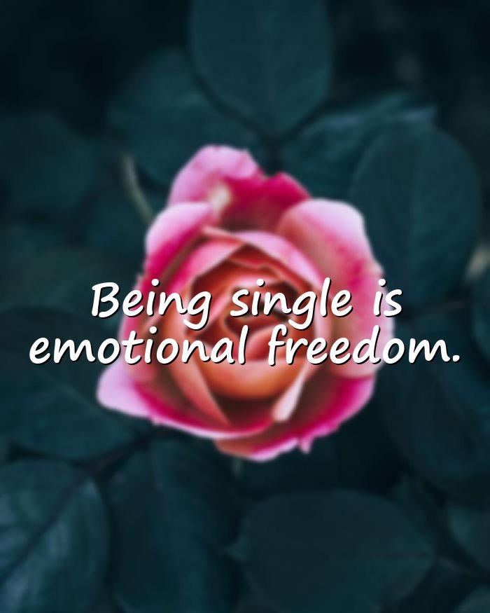 single life quotes - 1