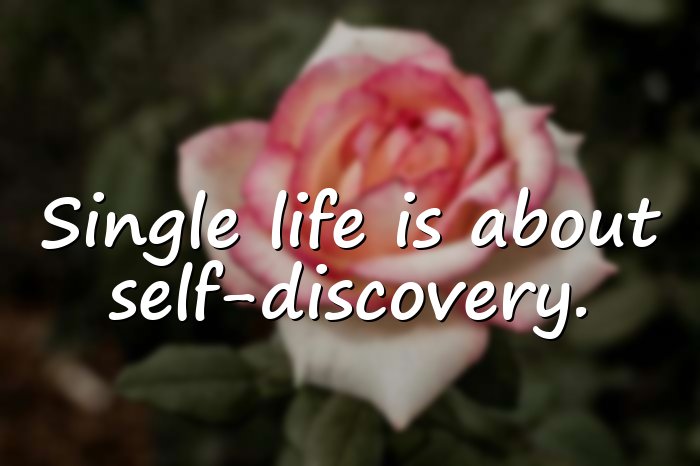 single life quotes - 16