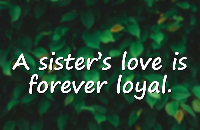 sister love quotes - 16