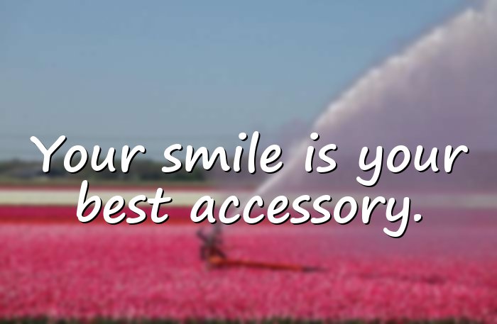 smile quotes - 21