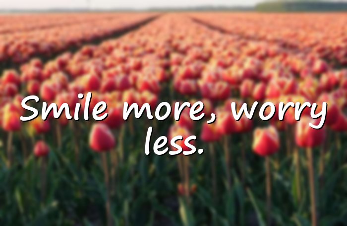 smile quotes - 16
