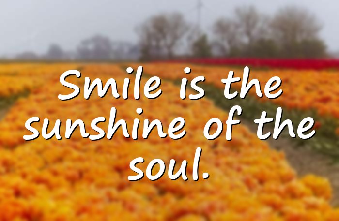 smile quotes - 6