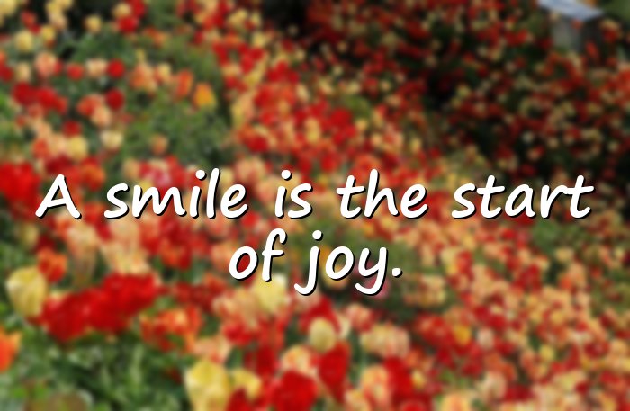 smile quotes - 16