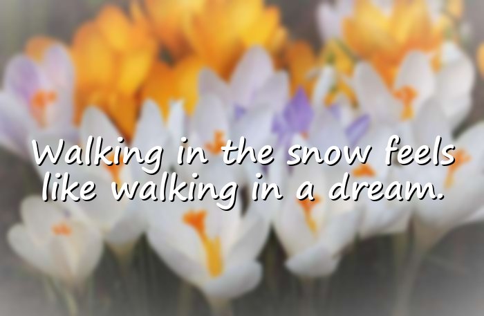 snow quotes - 21