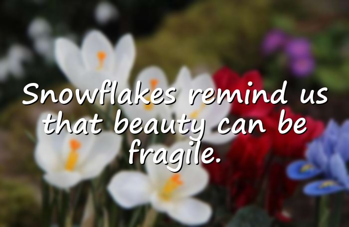 snow quotes - 16