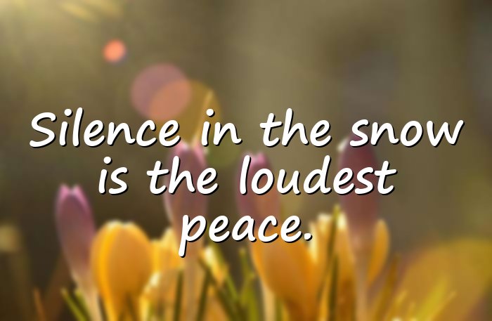 snow quotes - 11