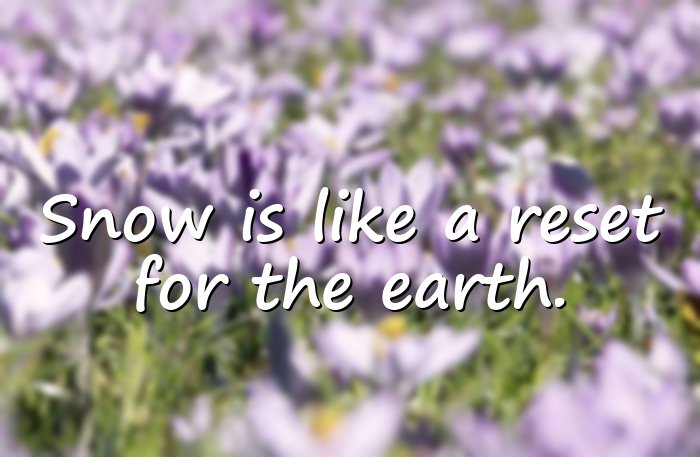 snow quotes - 1