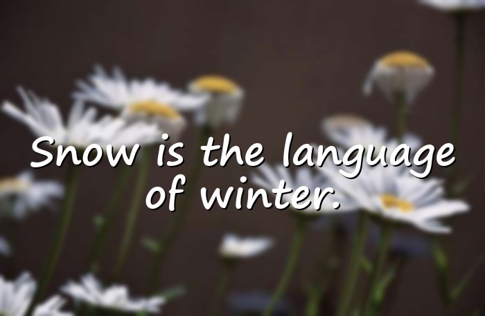 snow quotes - 6