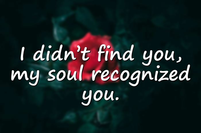 soulmate quotes - 21