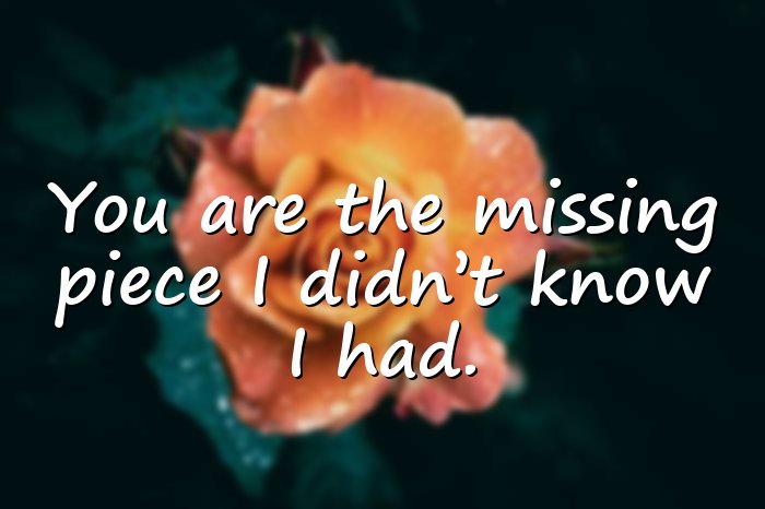 soulmate quotes - 11