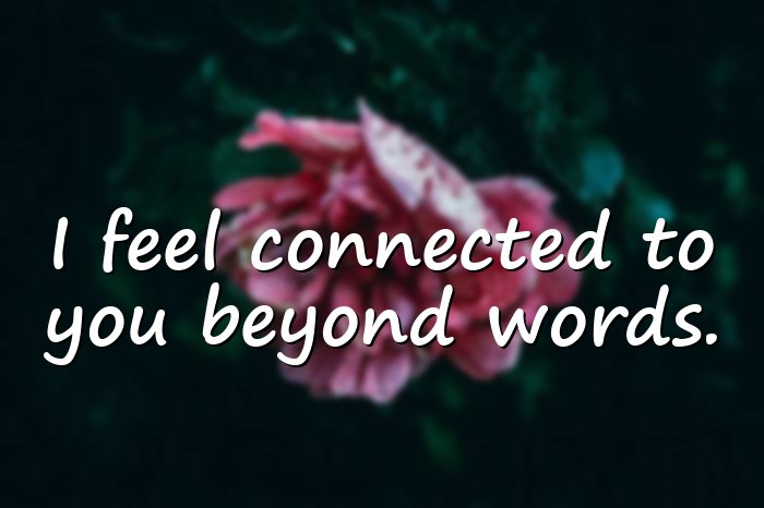soulmate quotes - 6