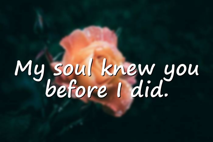 soulmate quotes - 1