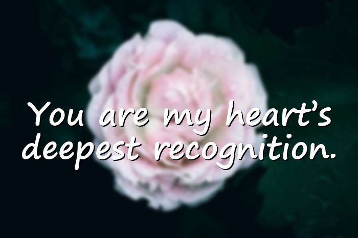 soulmate quotes - 21