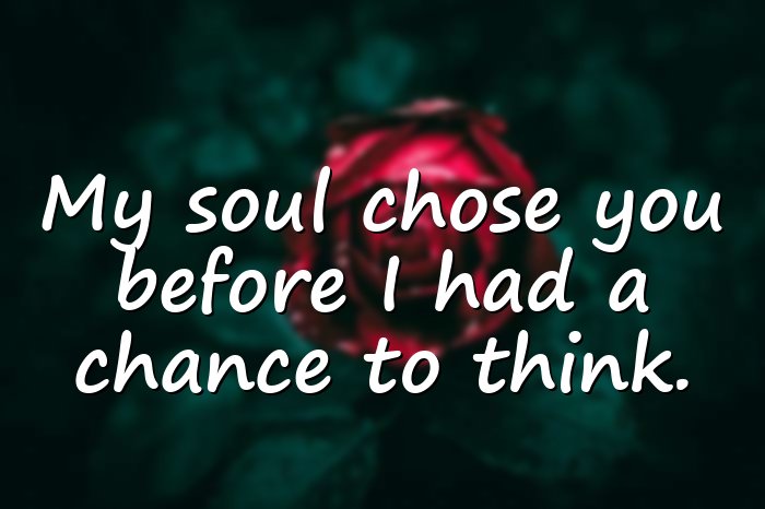 soulmate quotes - 16