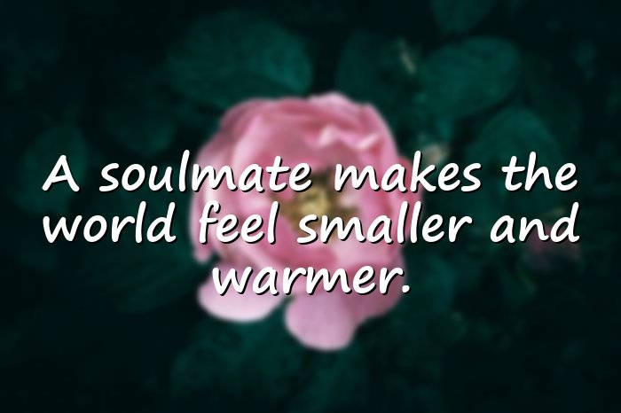 soulmate quotes - 11