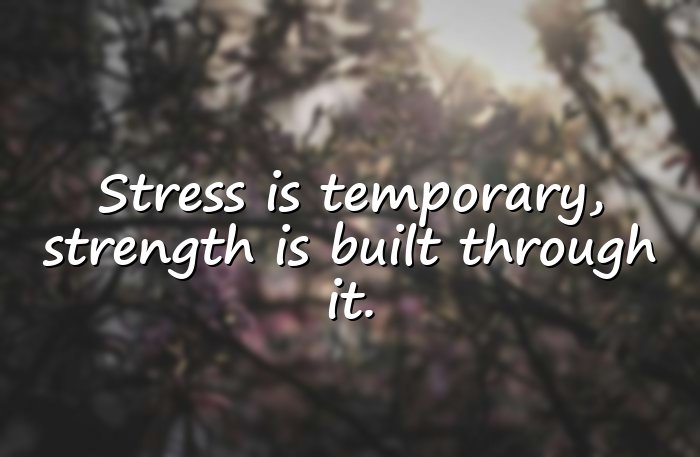 stress quotes - 11
