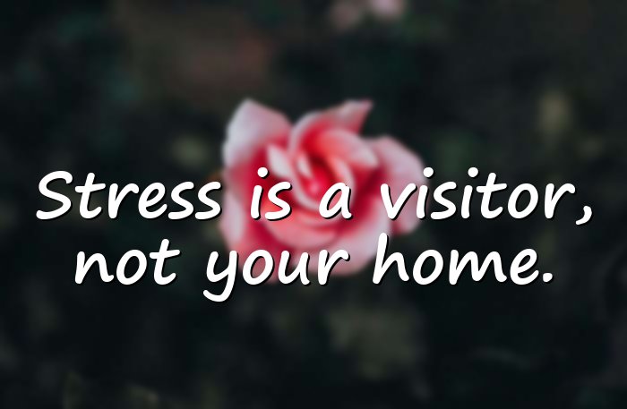 stress quotes - 16