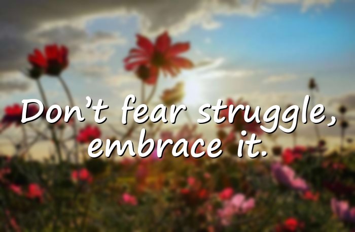 struggle quotes - 11