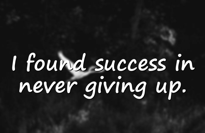 success quotes - 11