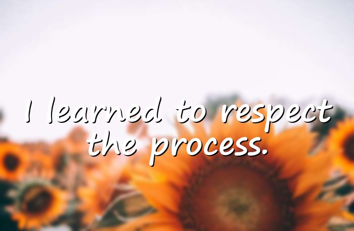 success quotes - 16