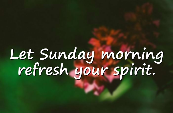 sunday morning quotes - 11