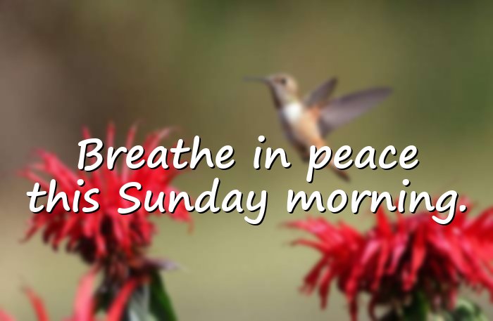 sunday morning quotes - 1