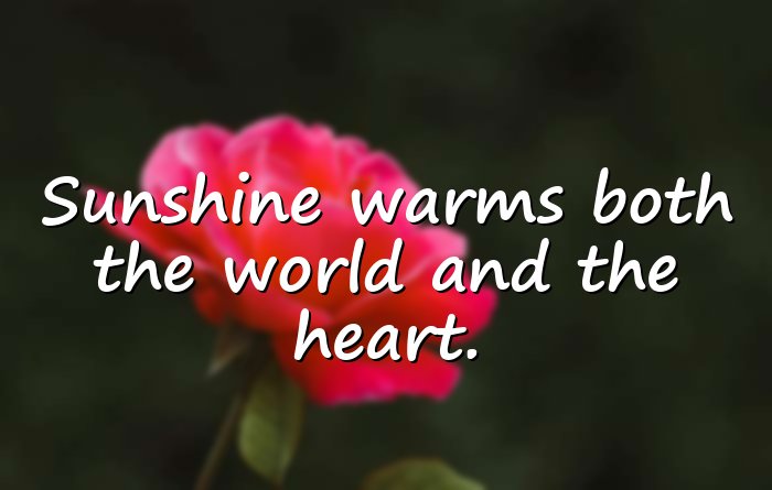 sunshine quotes - 16