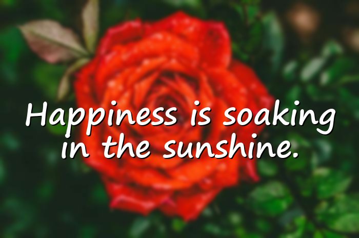 sunshine quotes - 11