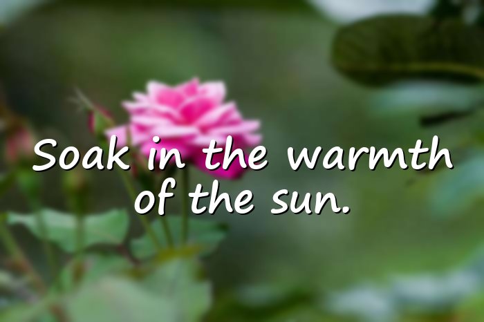 sunshine quotes - 21