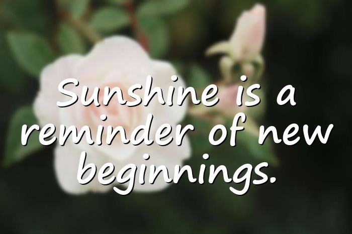 sunshine quotes - 16